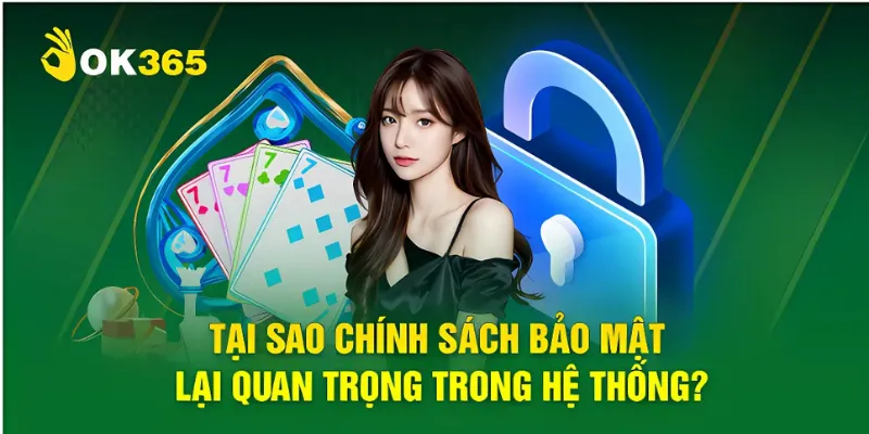 Tại sao chính sách bảo vệ OK365 lại cần thiết trong hệ thống?